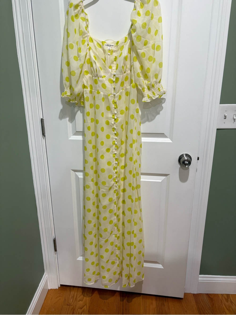 For Love & Lemons Lime Polka Dot Sheer Maxi Dress - Picture 6 of 12